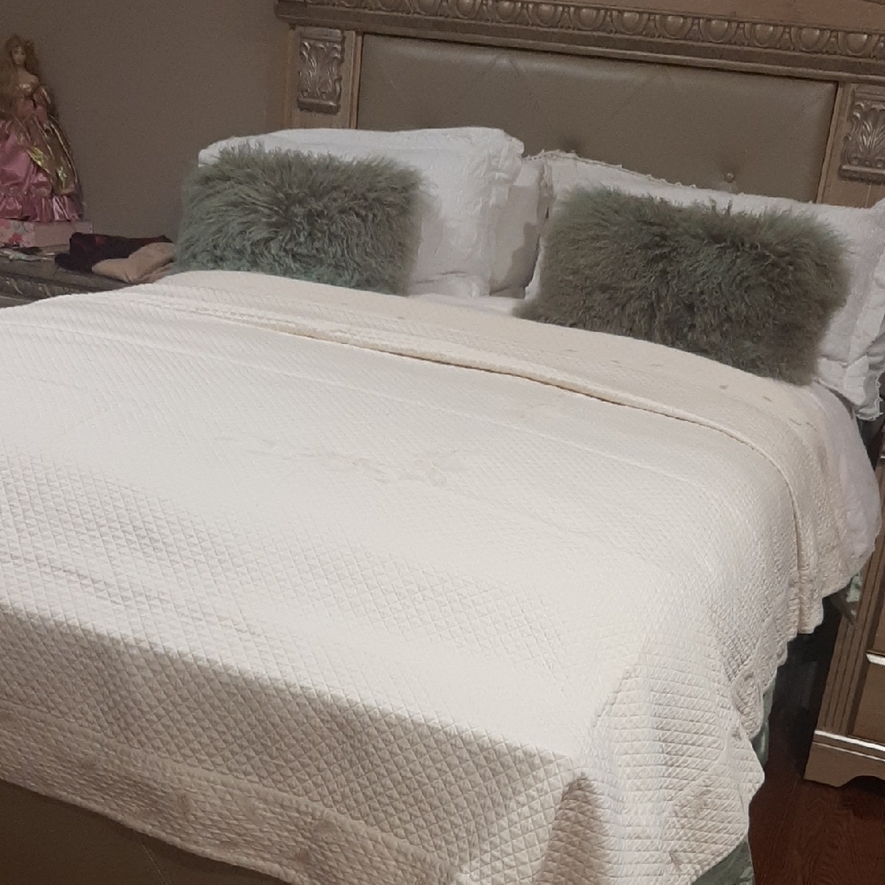 Elegant Cream Coverlet In Mint Condition